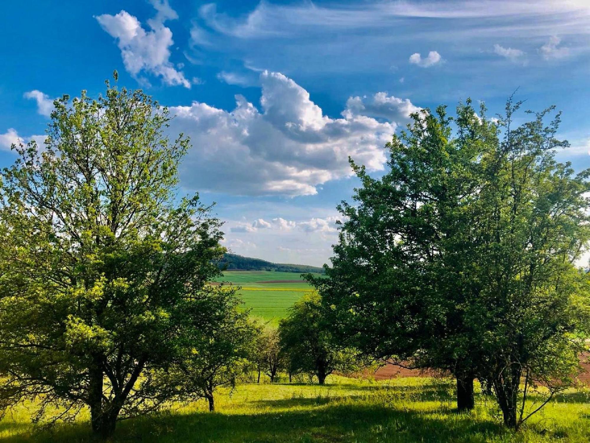Ferienwohnungen Goja Bad Königshofen im Grabfeld Exterior foto